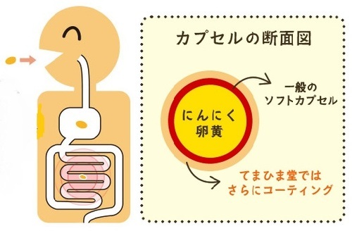 にんにく卵黄ニンニクゴーゴー 血液サラサラ にんにく効果 滋養強壮 アンチエイジング サプリメント 疲労回復 免疫力アップ 風邪予防 てまひま堂 夏バテ アラフォー 健康 おすすめ 口コミ0.jpg