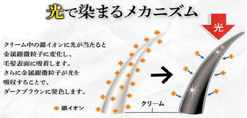 サンカラーマックス40 光で染まる.png
