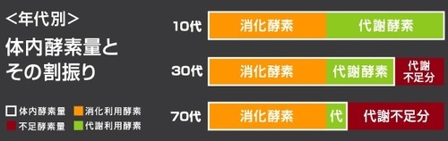 スルスルこうそ 代謝アップ ダイエット 口コミ 体内酵素量.jpg
