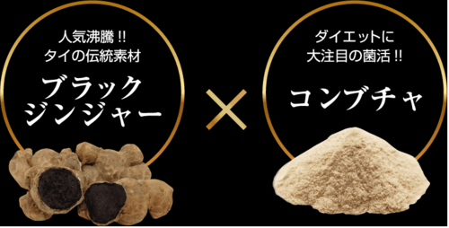 タイ王国の恵み ブラックジンジャー コンブチャ 菌活 ダイエット 痩せる サプリメント 代謝アップ おすすめ 口コミ0.png