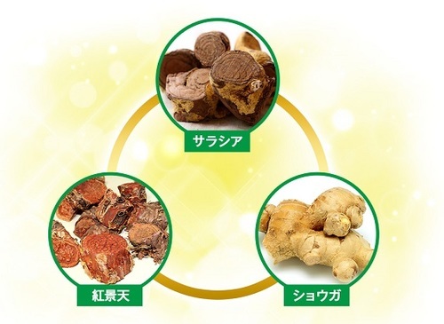 ハイサラシア タブレット ダイエット おすすめ 血糖値コントロール サラシア 効果 食事制限 ストレスフリー 炭水化物 糖質制限 糖の吸収をブロック 口コミ0.jpg