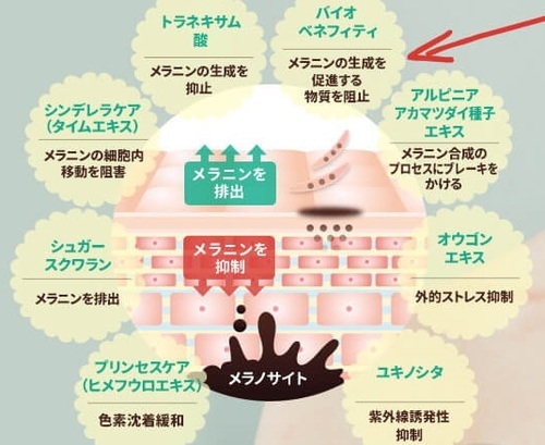 フレキュレル0.jpg