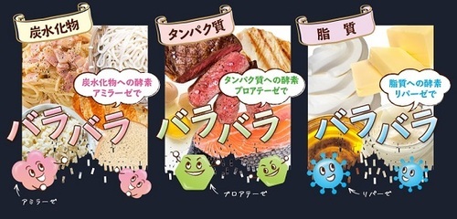 厳選 麹の生酵素 菌活ぷらす ダイエットサプリメント 酵母 痩せ菌 健康 美容 便秘解消 アラフォー おすすめ ダイエット 痩せやすい 口コミ11.jpg